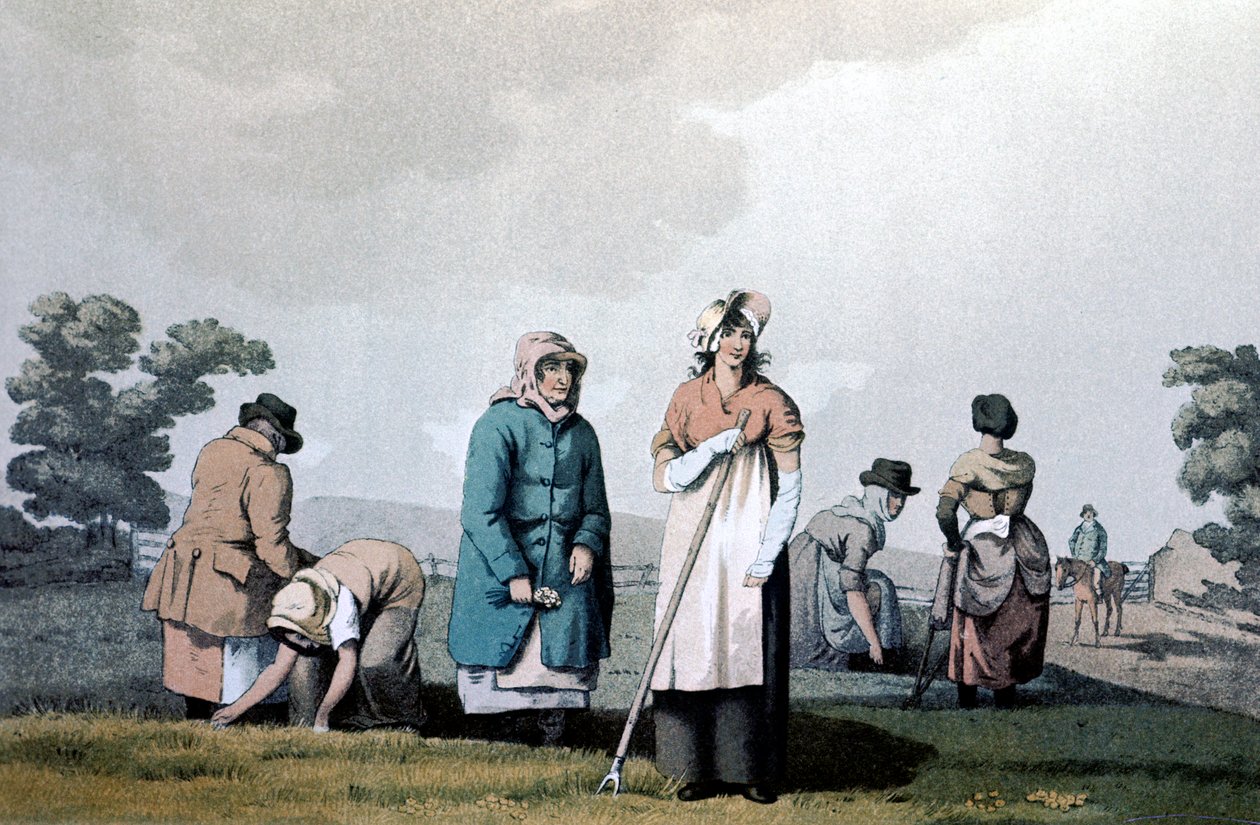 Lowkers - kvinder der lugede majs, 1814 af George Walker of Seacroft