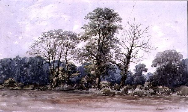 Træer ved Perry Bar nær Birmingham, 1800-tallet af George Augustus Wallis