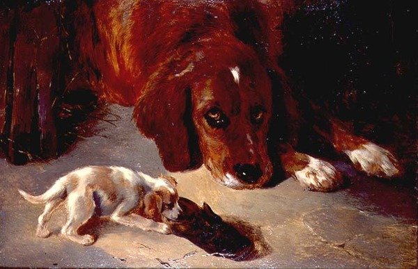 En nysgerrig hvalp (bræt) af George Wiliam Horlor