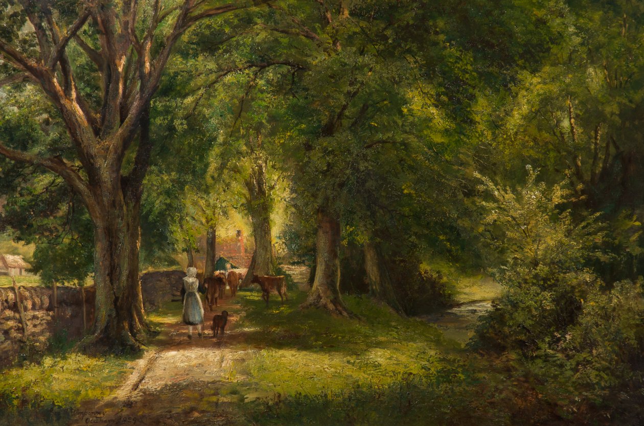 The Woods, Betts-Y-Coed af George Wimpenny