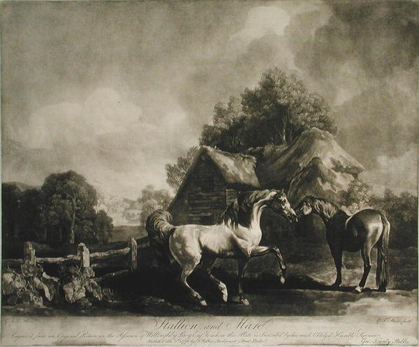 Hingst og hoppe, graveret af George Townley Stubbs (1756-1815) 1776 (mezzotint) af George after Stubbs