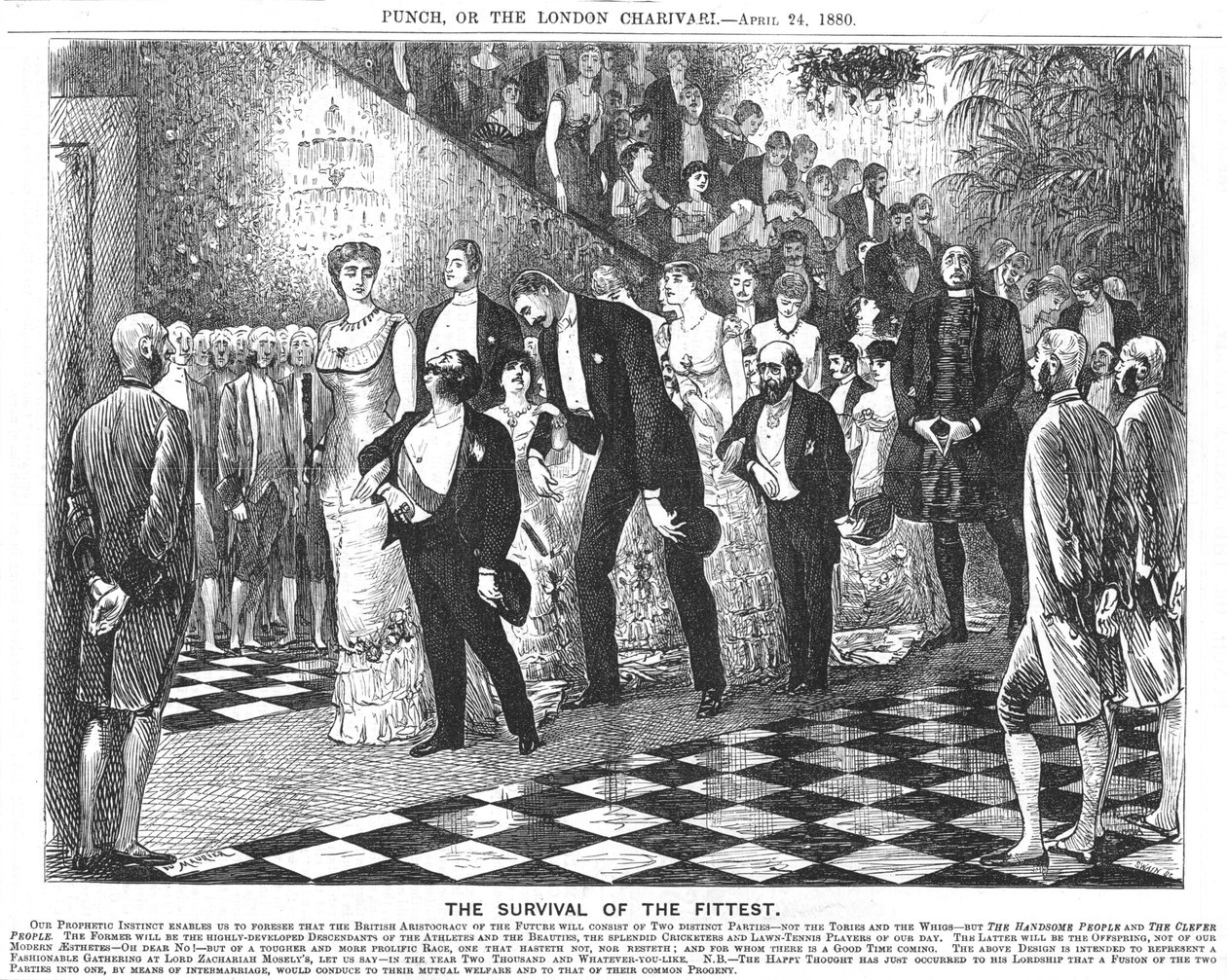 Anvendelse af darwinisme i det tyvende århundrede. Af George du Maurier, 24. april 1880 (tegnefilm fra Punch, London) af George du Maurier