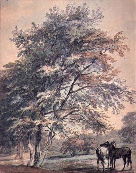 Træer og Heste, 1700-tallet af George the Elder Barret