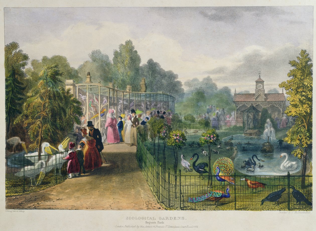 Volieren ved Zoologisk Have, Regents Park, indgraveret og pub. af kunstneren, trykt af Charles Hullmandel (1789-1850), 1836 af George the Elder Scharf