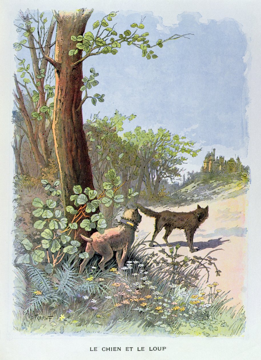 The Dog and the Wolf, fra 