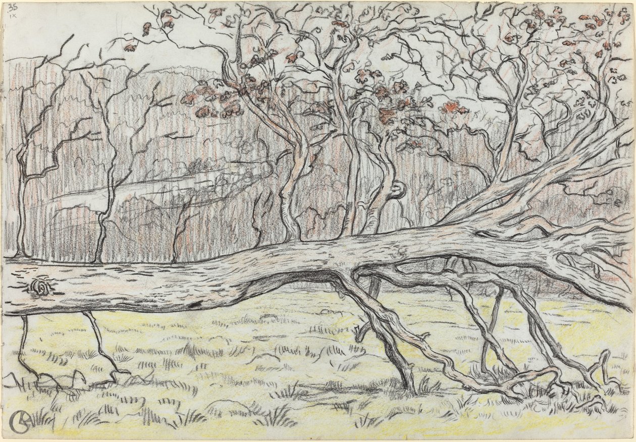 Fældet træ, Normandiet af Georges Lacombe