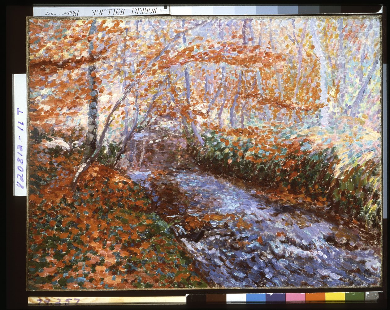The Briante River (Skovinteriør i efteråret) (olie på lærred) af Georges Lacombe