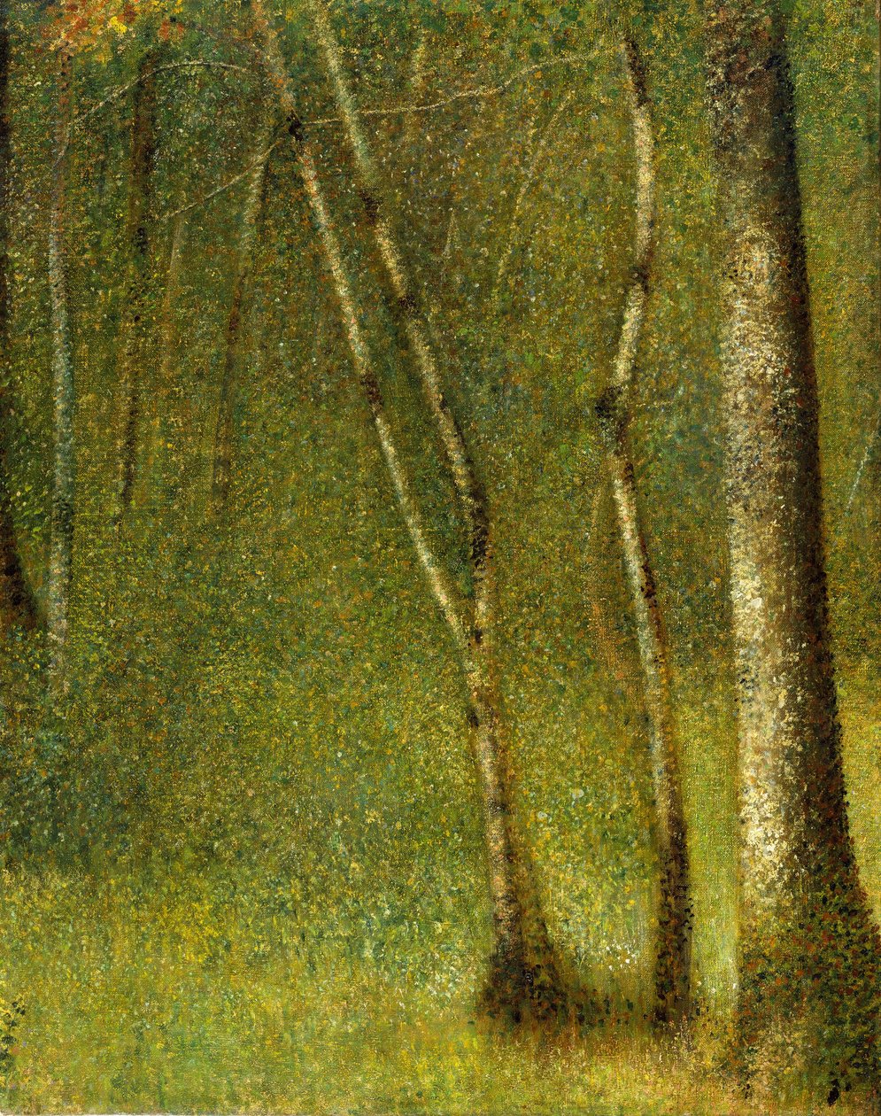 Skoven ved Pontaubert, 1881. af Georges Pierre Seurat