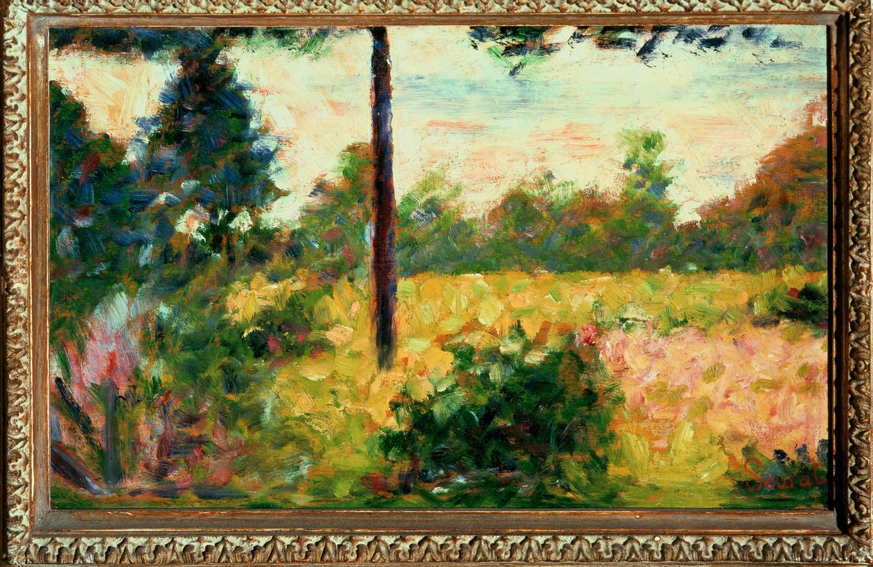 Træ i Barbizon (olie på lærred) af Georges Pierre Seurat