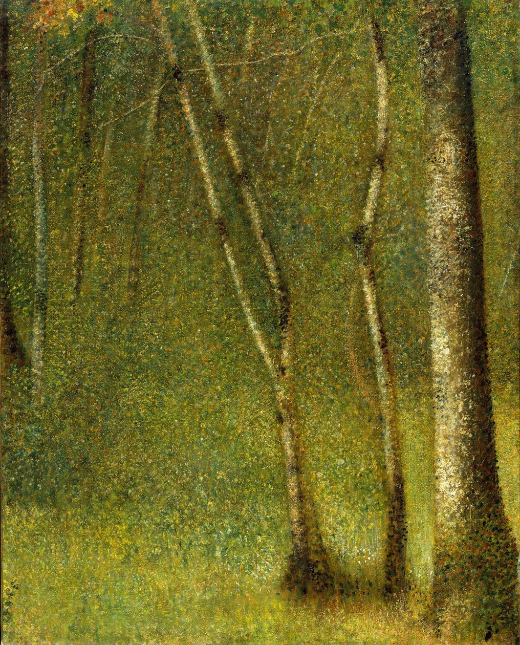 Skoven ved Pontaubert, 1881 af Georges Seurat