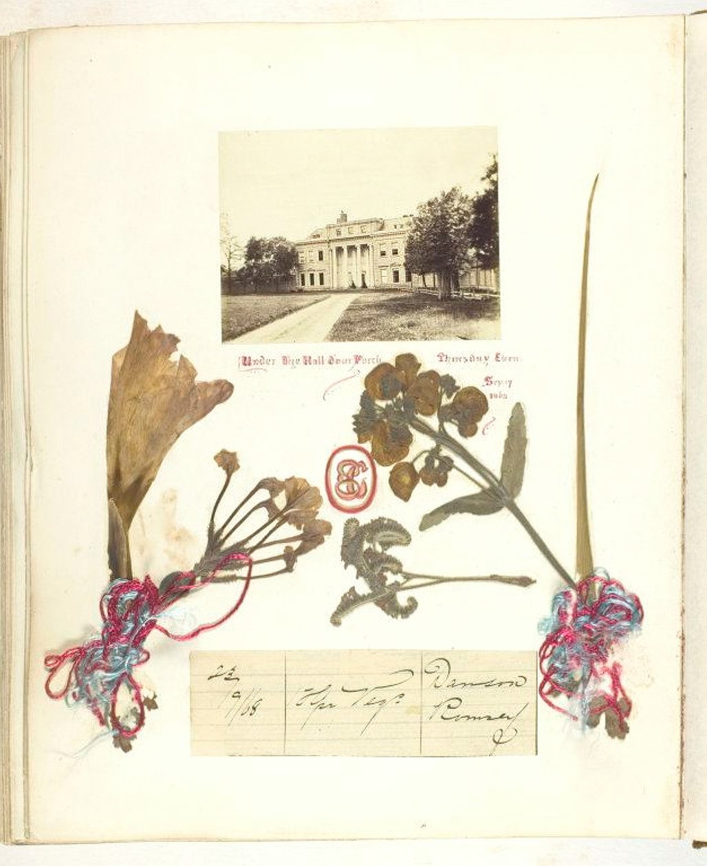 Uden titel [udsigt over Broadlands med tørrede blomster], 1868. af Georgina Cowper