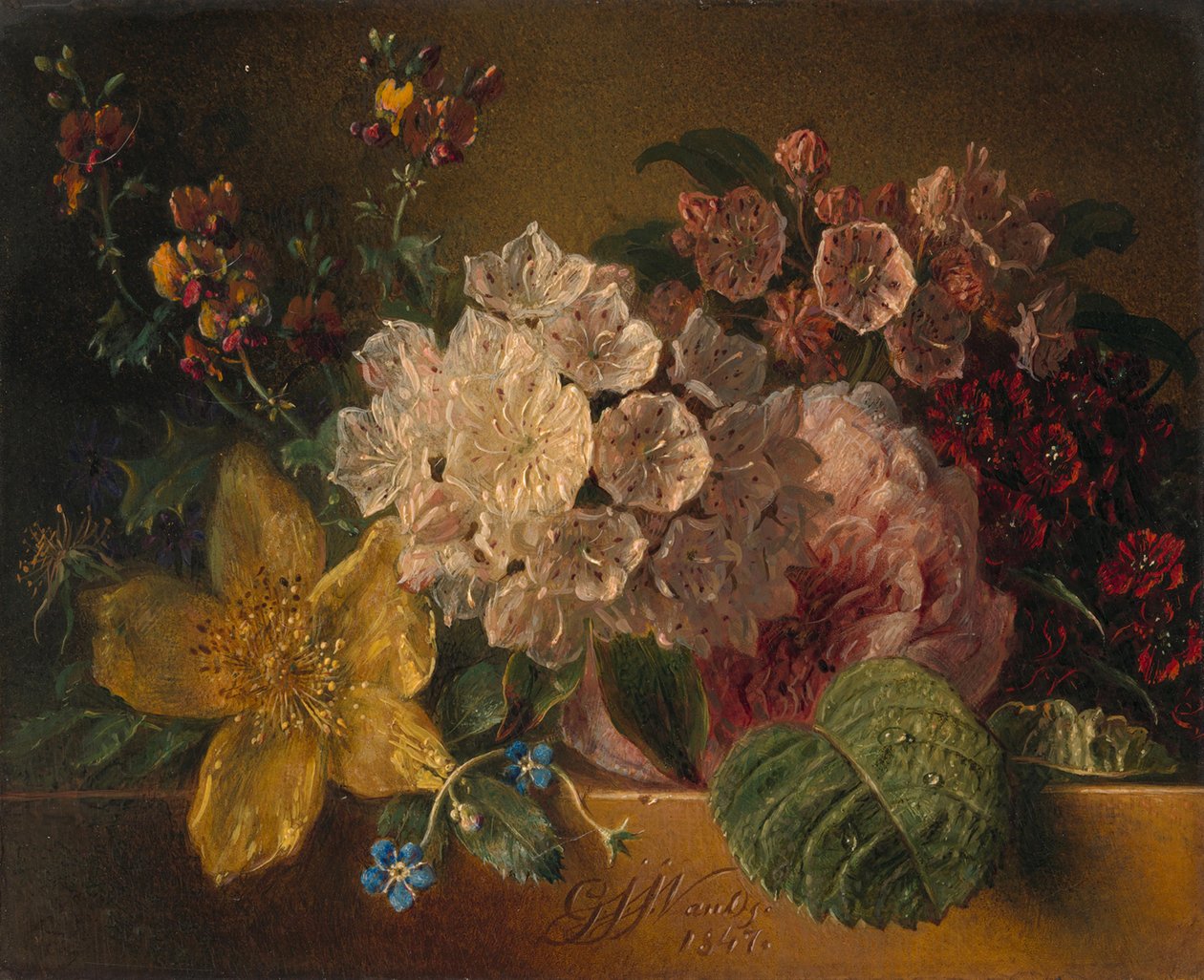 Blomster af Georgius Jacobus Johannes van Os