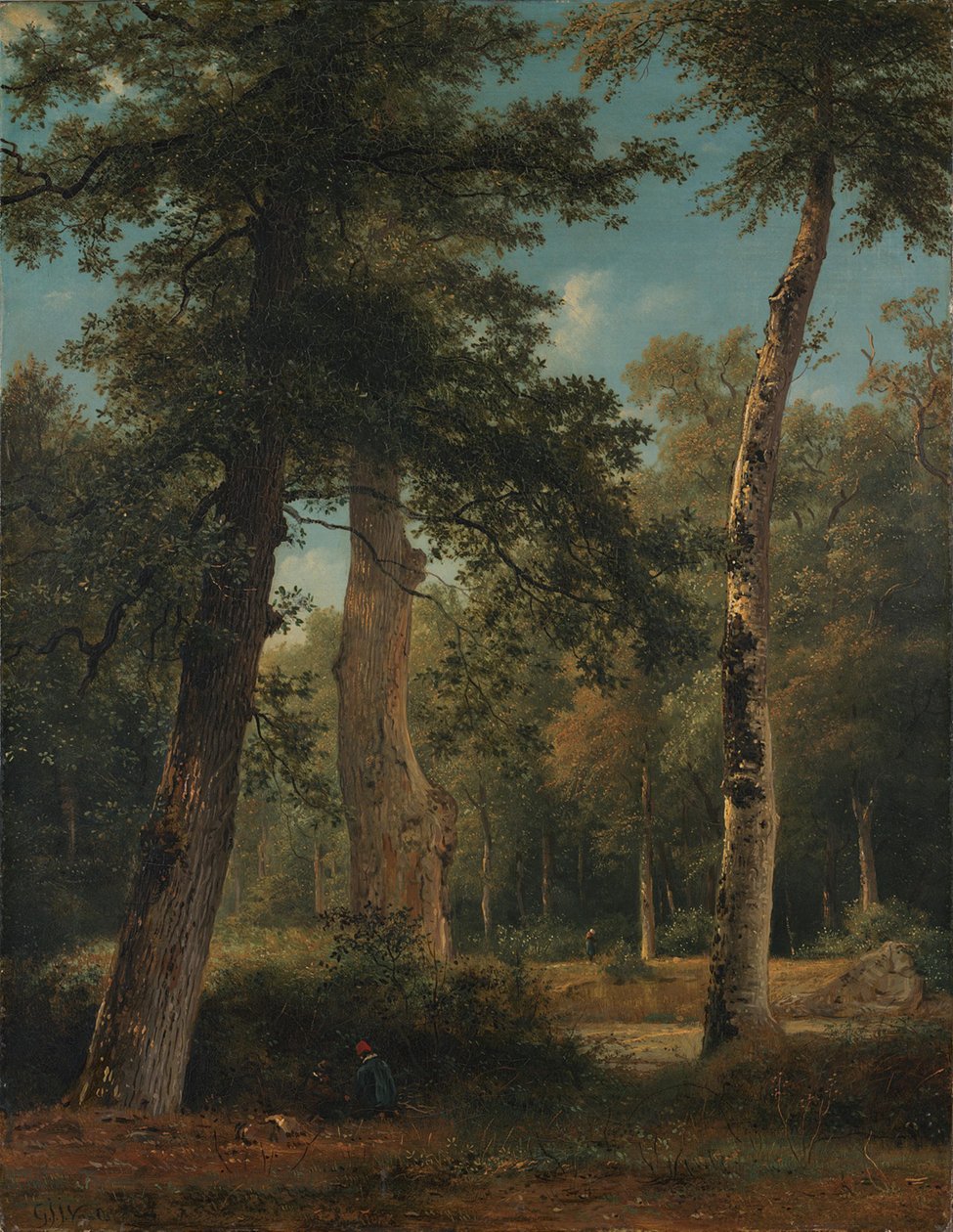 En skov ved Fontainebleau af Georgius Jacobus Johannes van Os