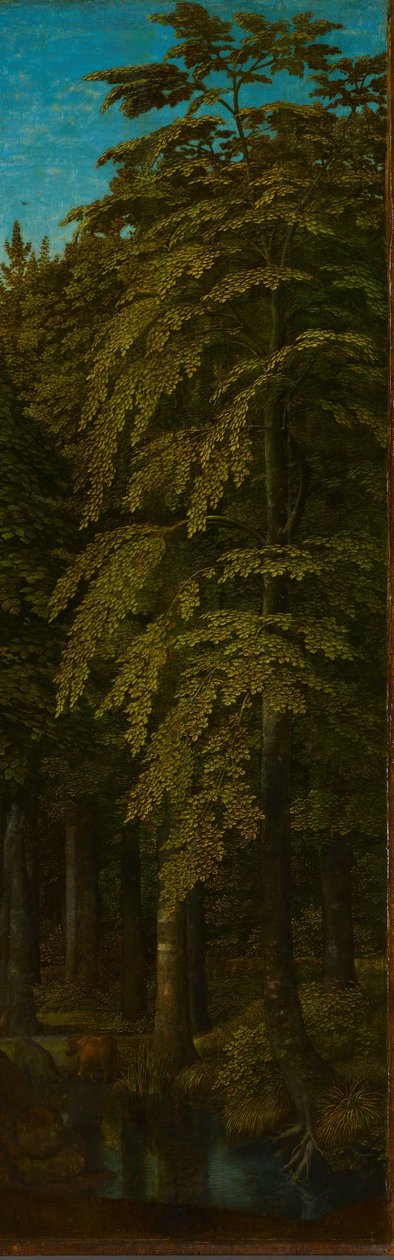 Äußere rechte Flügel eines Triptychons mit Blick in einen Wald af Gerard David