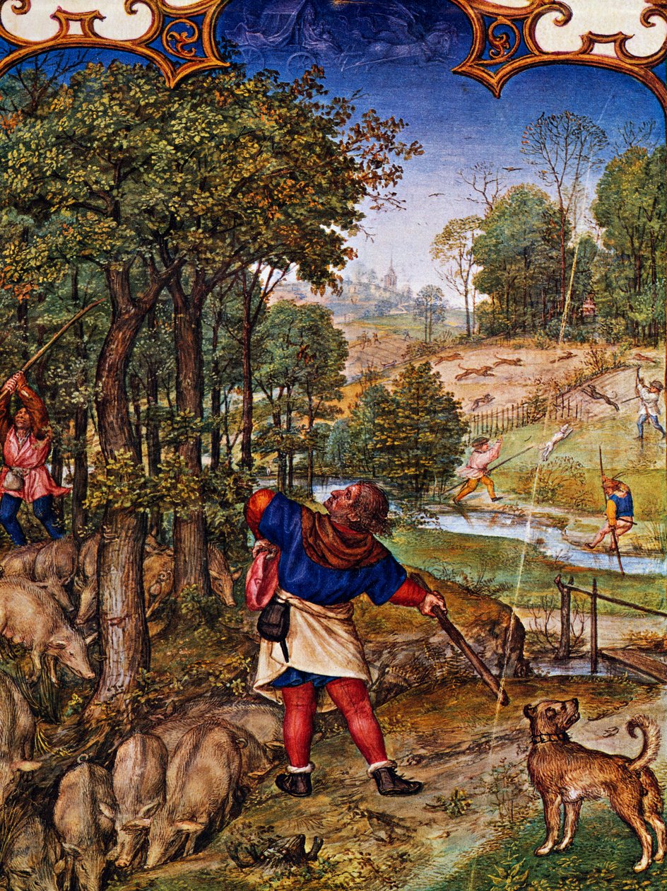 November måned, Indsamling af agern og harejagt, miniature fra Grimani Breviary, med miniature af Gerard Horenbout (ca. 1465-før 1541), Alexander og Simon Bening (1483-1561), torsk Lat I, 99 f 11v, Holland af Gerard Horenbout