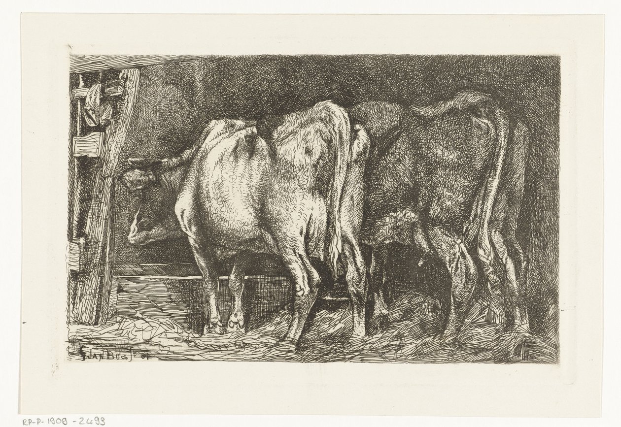 To køer ved en krybbe af Gerard Jan Bos