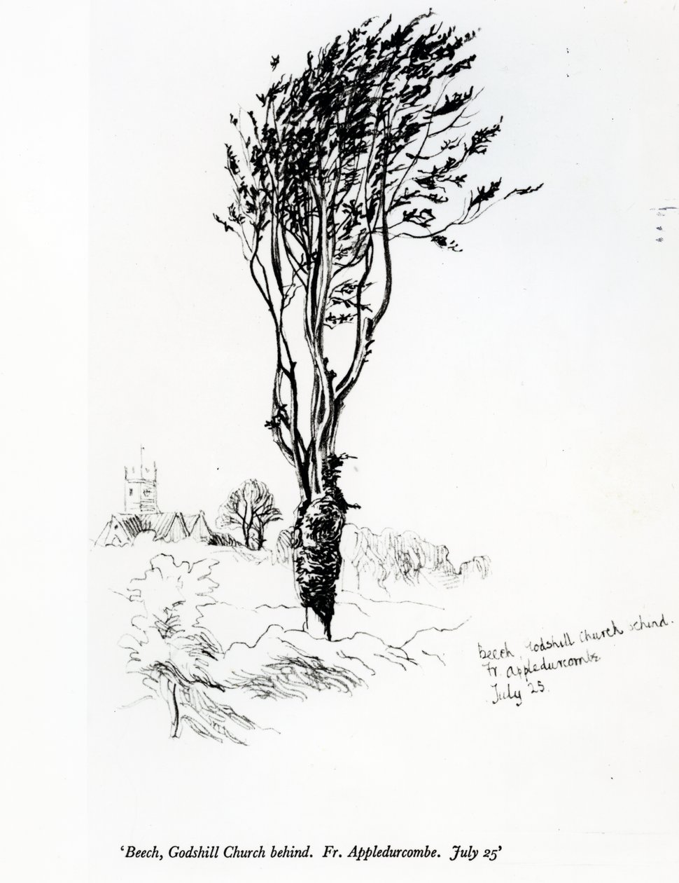 Bøg, Godshill Church bagved. Fr. Appledurcombe. 25. juli, ca. 1860