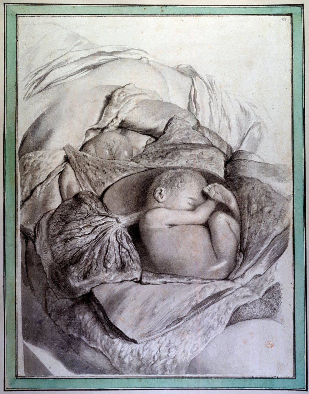 Repræsentation af et foster af et menneske i en livmoder Gravering af Gerard de Lairesse (1640-1711), der illustrerer "Anatomia Humani Corporis" af Govert Bidloo (eller Govard) (1649-1713) Det medicinske fakultets bibliotek fra det 18. århundrede, Paris af Gerard de Lairesse