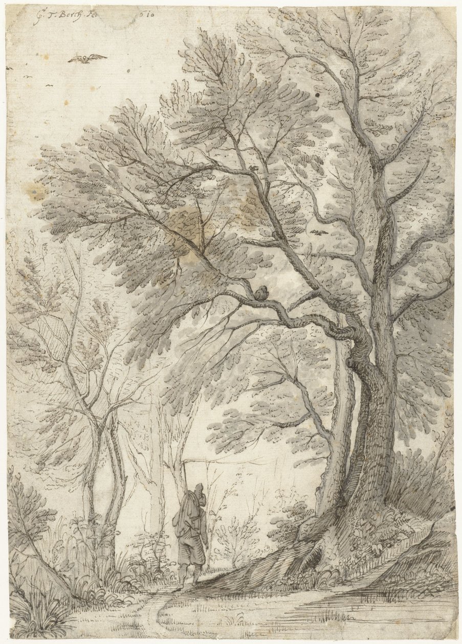 Skov af Villa Madama uden for Rom af Gerard ter Borch