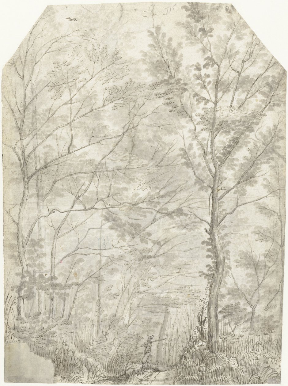 Skov af Villa Madama uden for Rom, med en jæger af Gerard ter Borch (I)
