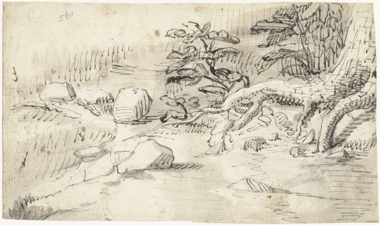 Undersøgelse af rødderne af et træ nær et vandløb af Gerard ter Borch (I)