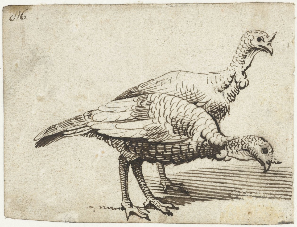 To kalkuner af Gerard ter Borch (I)
