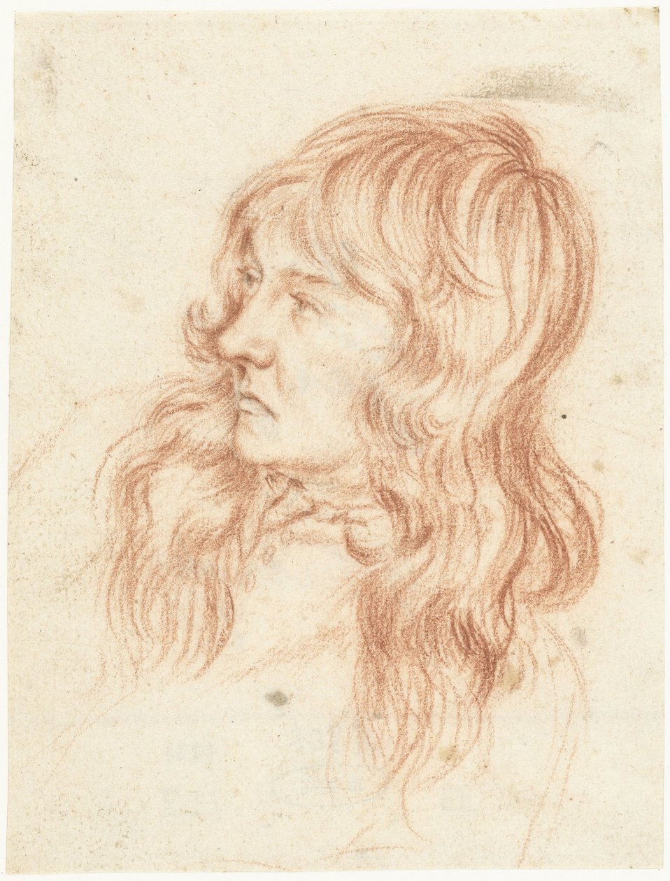 Hovedet af en ung mand, til venstre af Gerard ter Borch (II)