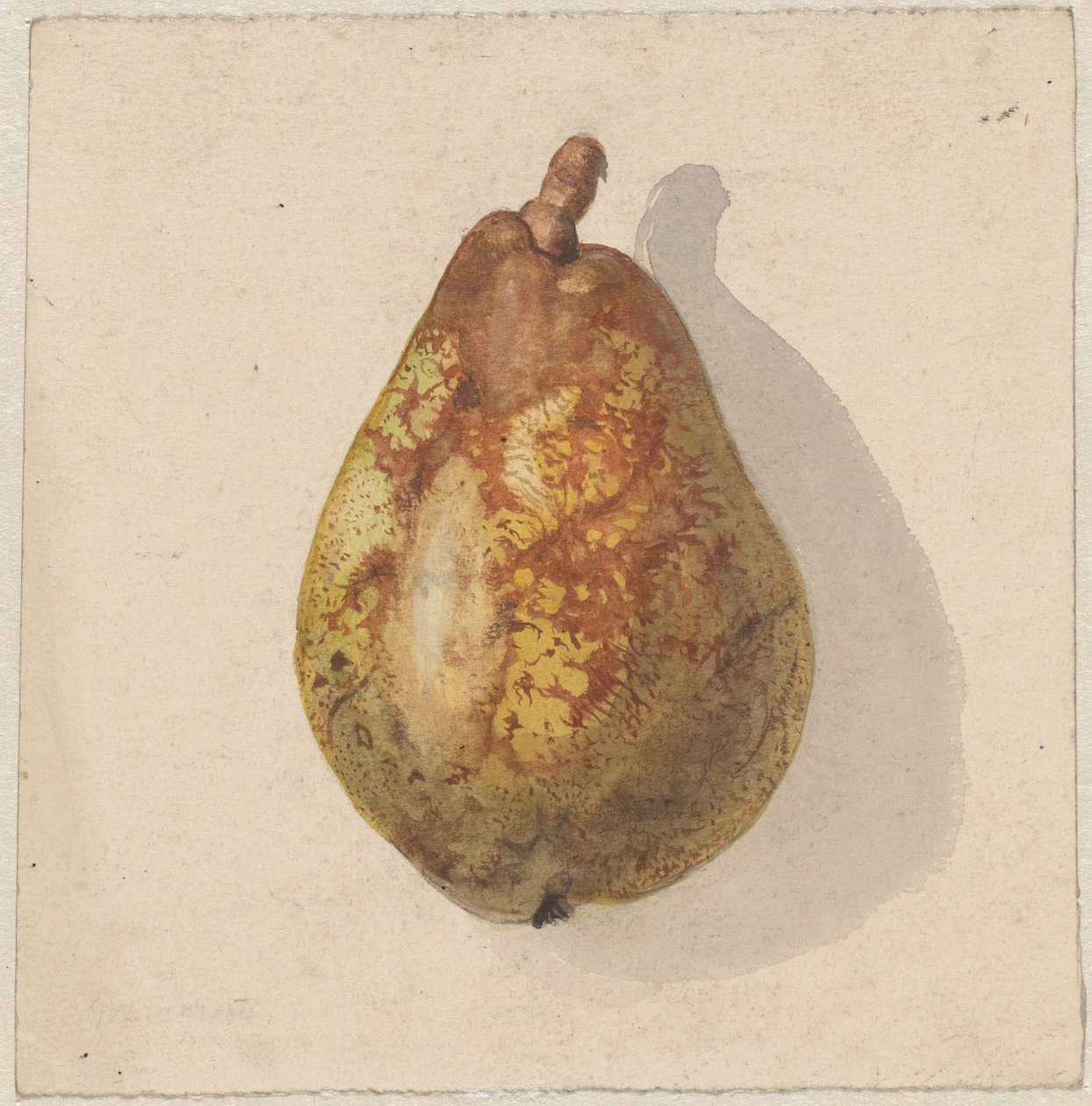 Peer af Gerardina Jacoba van de Sande Bakhuyzen
