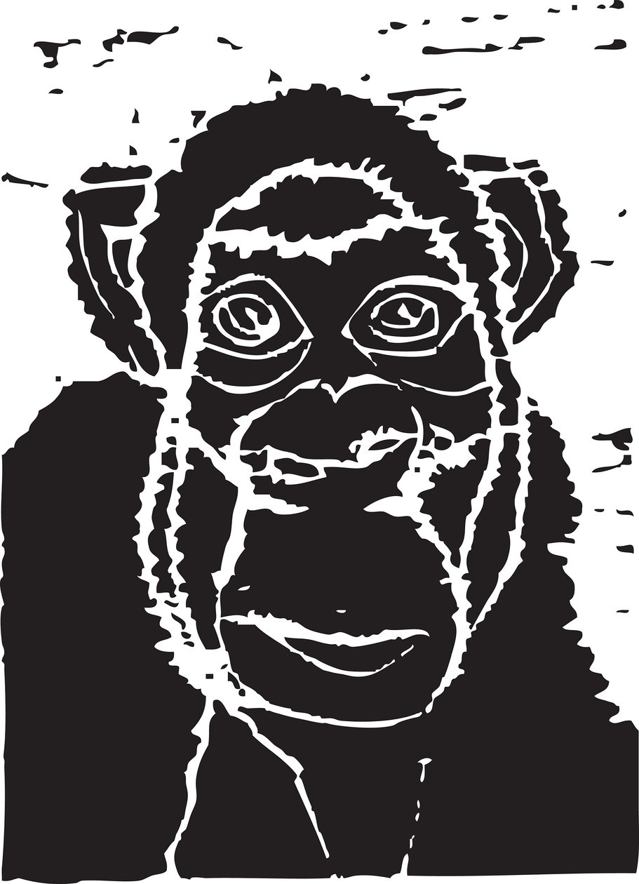 Chimpanse af Gerhardt Isringhaus