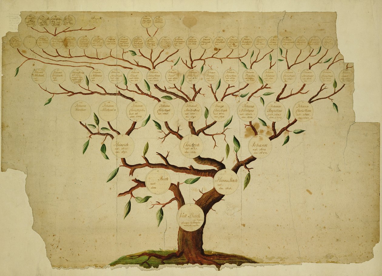 Bach Family Tree, ca.1750-1770 (pen og blæk og blyant på papir) af German School