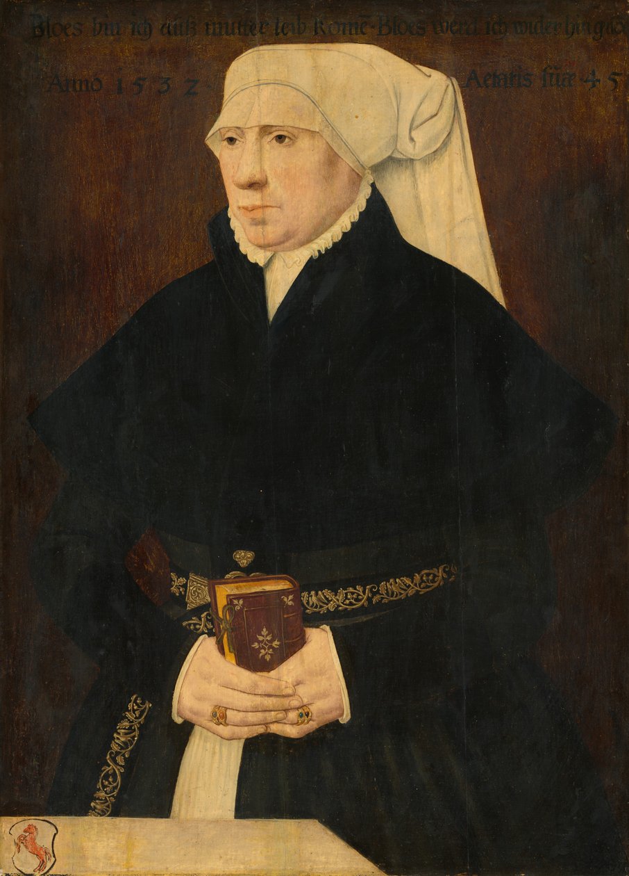 Portræt af en Dame af German 16th Century