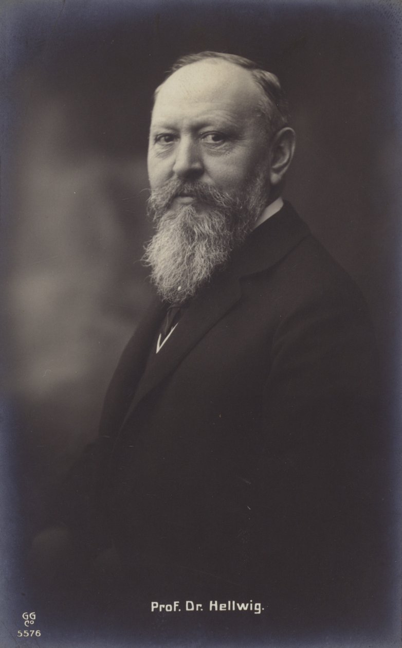 Professor doktor Hellwig (s/h-foto) af German Photographer