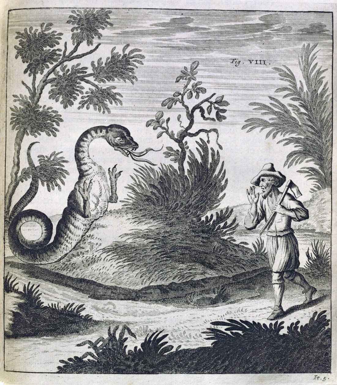 En frygtsom drage, ca. 1660 af German School
