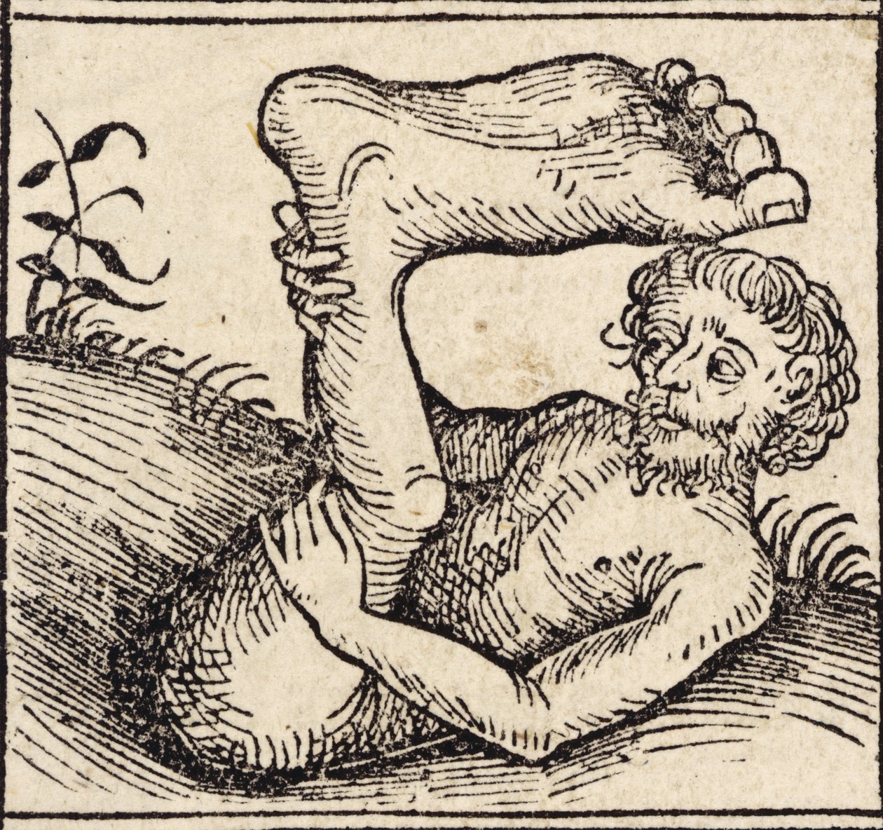 En sciopod, mand med en hævet fod, fra ``Registrum Hujus Operis Libri Cronicarum cum Figuri et Imagibus ab Inicio Mundi