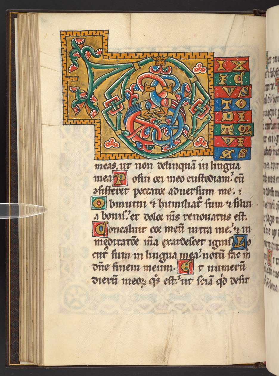 Tilføje. 60629, f.43v Store indrammede initialer i guld og farver med foliate og nogle gange zoomorphic og antropomorphic ornament (vellum) af German School