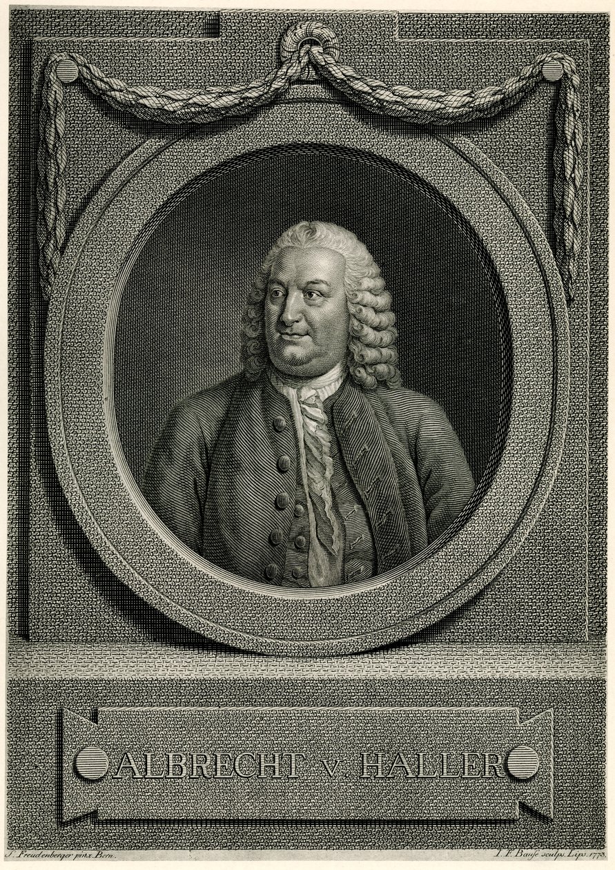 Albert von Haller af German School