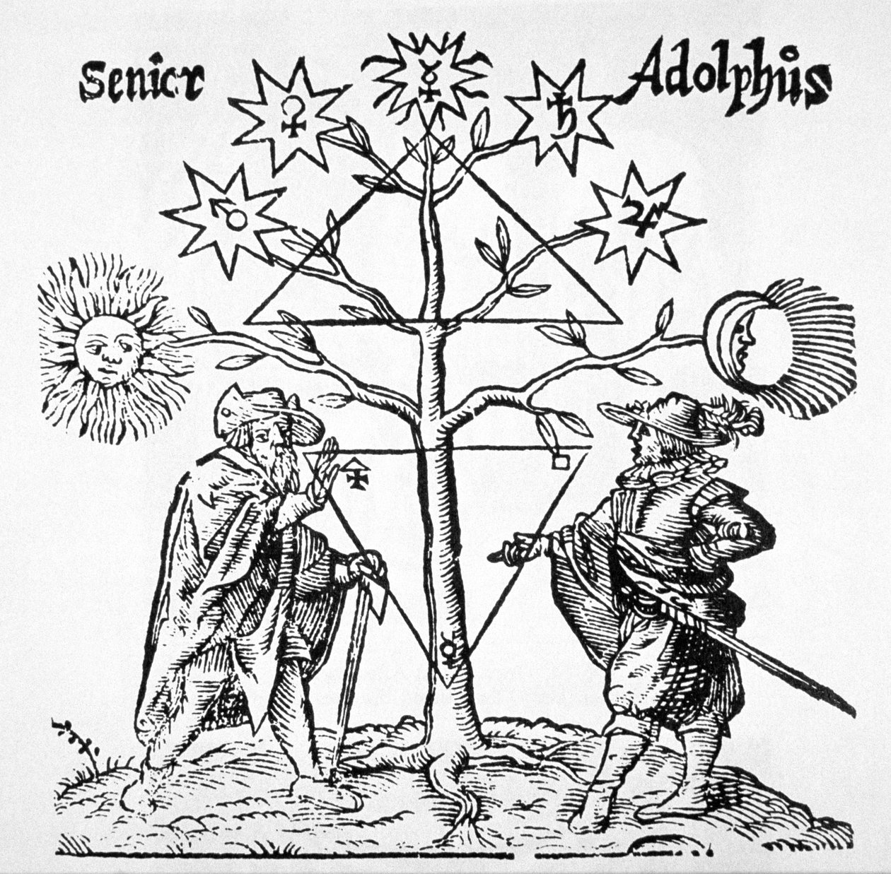 Alkymisk træ, diagrammatisk og emblematisk, fra Museum Hermeticum af Thomas Norton (1749) illustreret i en magisk historie udgivet i slutningen af det 19. århundrede af German School