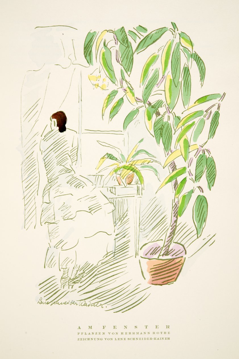 Am Fenster, planter af Hermann Rothe, fra Styl, pub.1922 (pochoir print) af German School