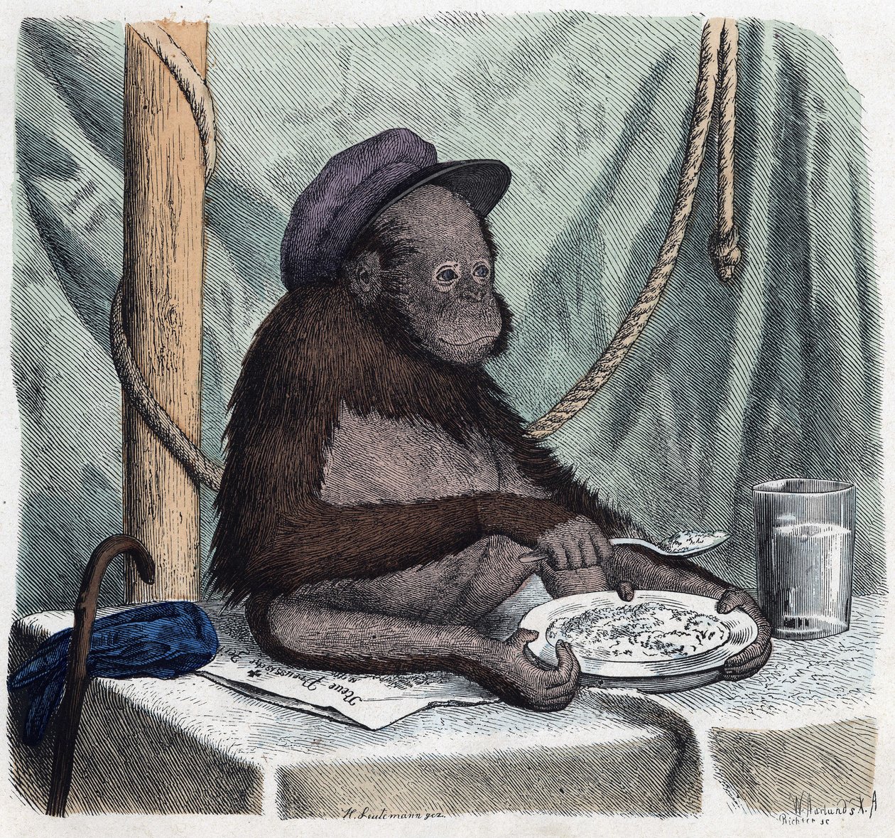 En uddannet orangoutang (orangutang, orangoutang, orangutang) spiser ris med en ske. I Når nogen rejser, det kan han fortælle, tysk fortælling af Franz Wiedemann af German School