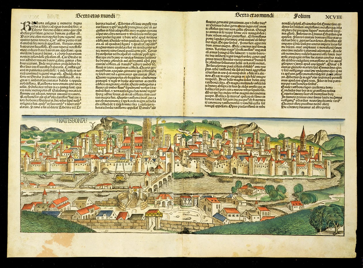 Birds Eye View af Ratisbon, fra Nürnberg Chronicle af Hartmann Schedel (1440-1514) 1493 af German School