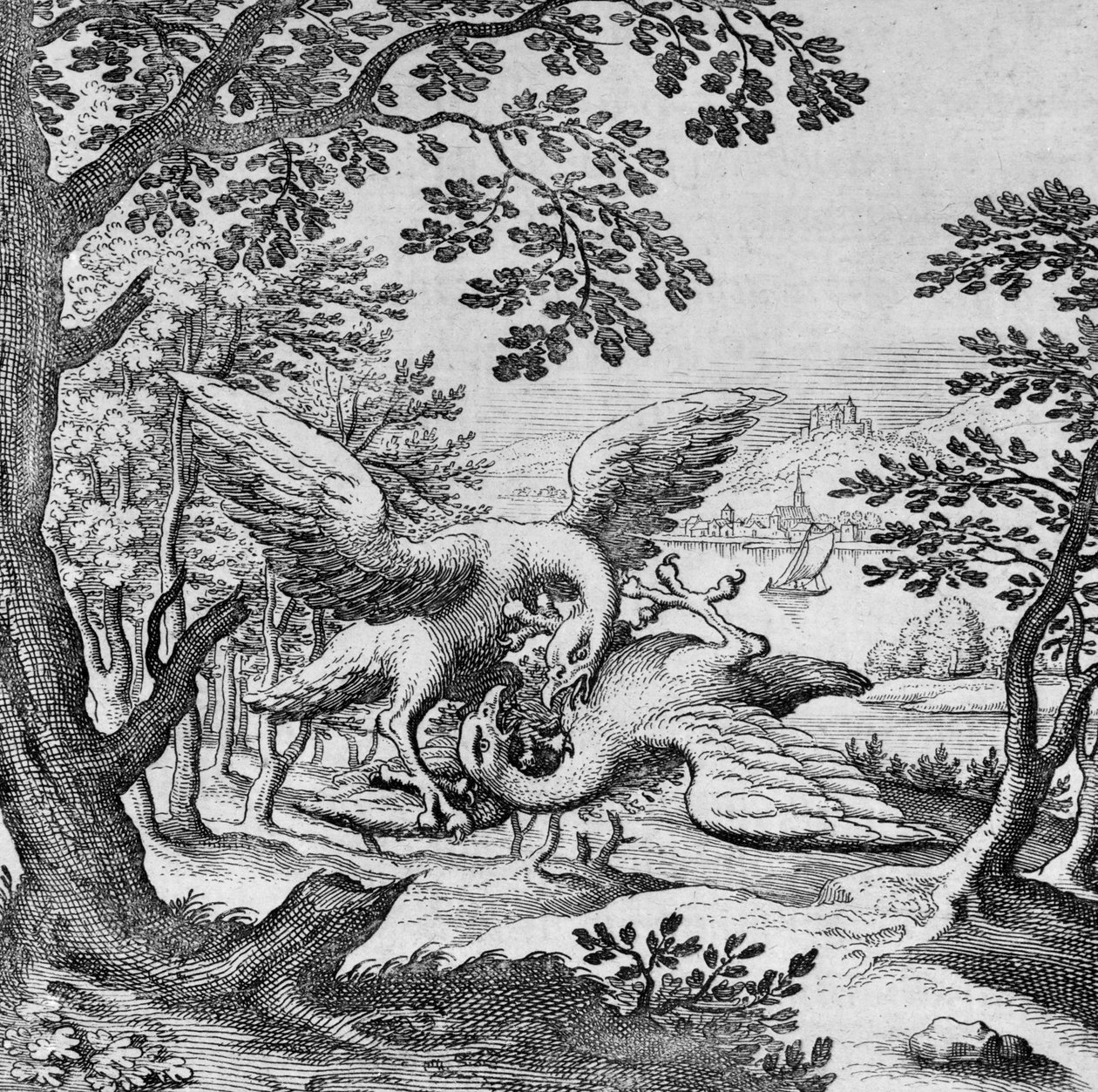 Fugle, der kæmper fra Musaeum Hermeticum af German School