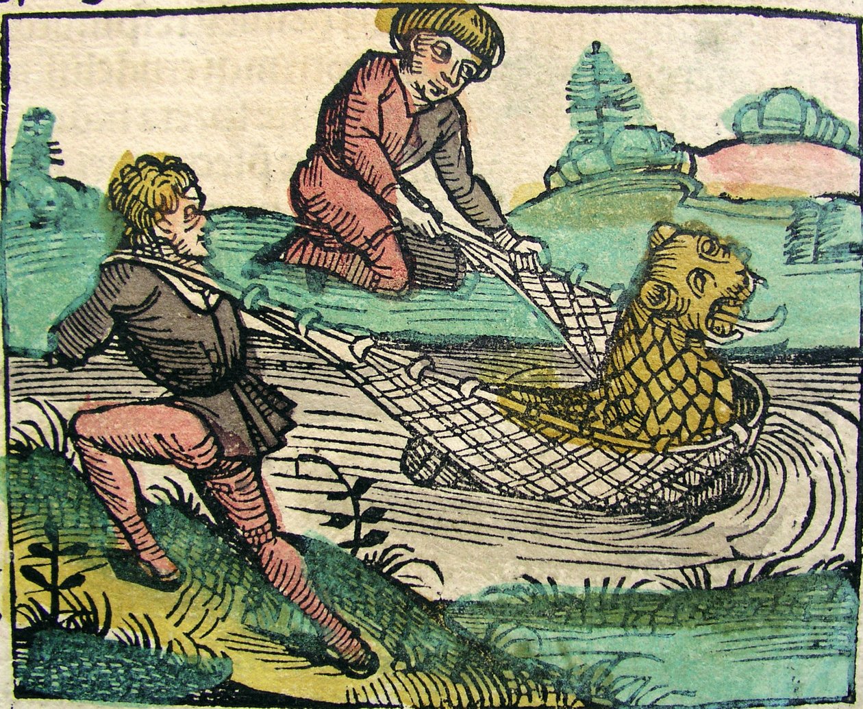 Catching a Lion Cat fish Monster offentliggjort i Nürnberg Chronicle, 1493 af German School