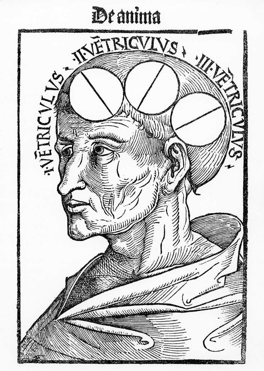 Hjernens hulrum, fra Philosophia Naturalis af Albertus Magnus, udgivet i Basel, 1506 af German School