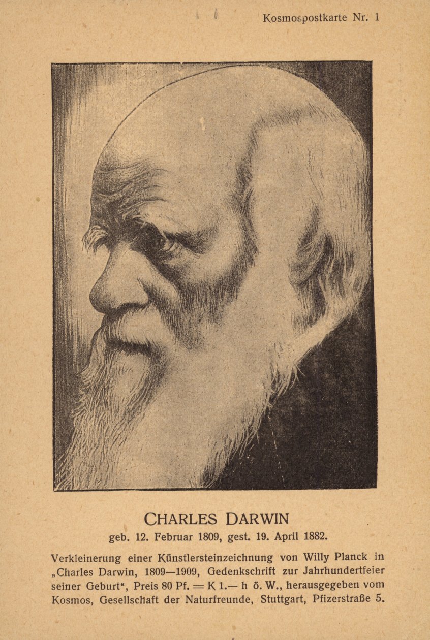 Charles Darwin (1809-1882), engelsk naturforsker (litografi) af German School