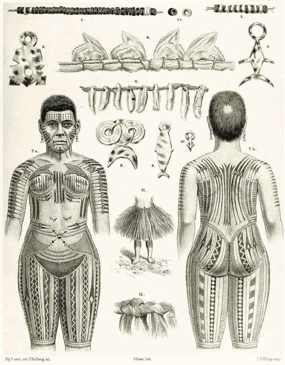 Diagram, der viser polynesiske smykker, ornamenter og tatoveringsdesign, 1888 af German School