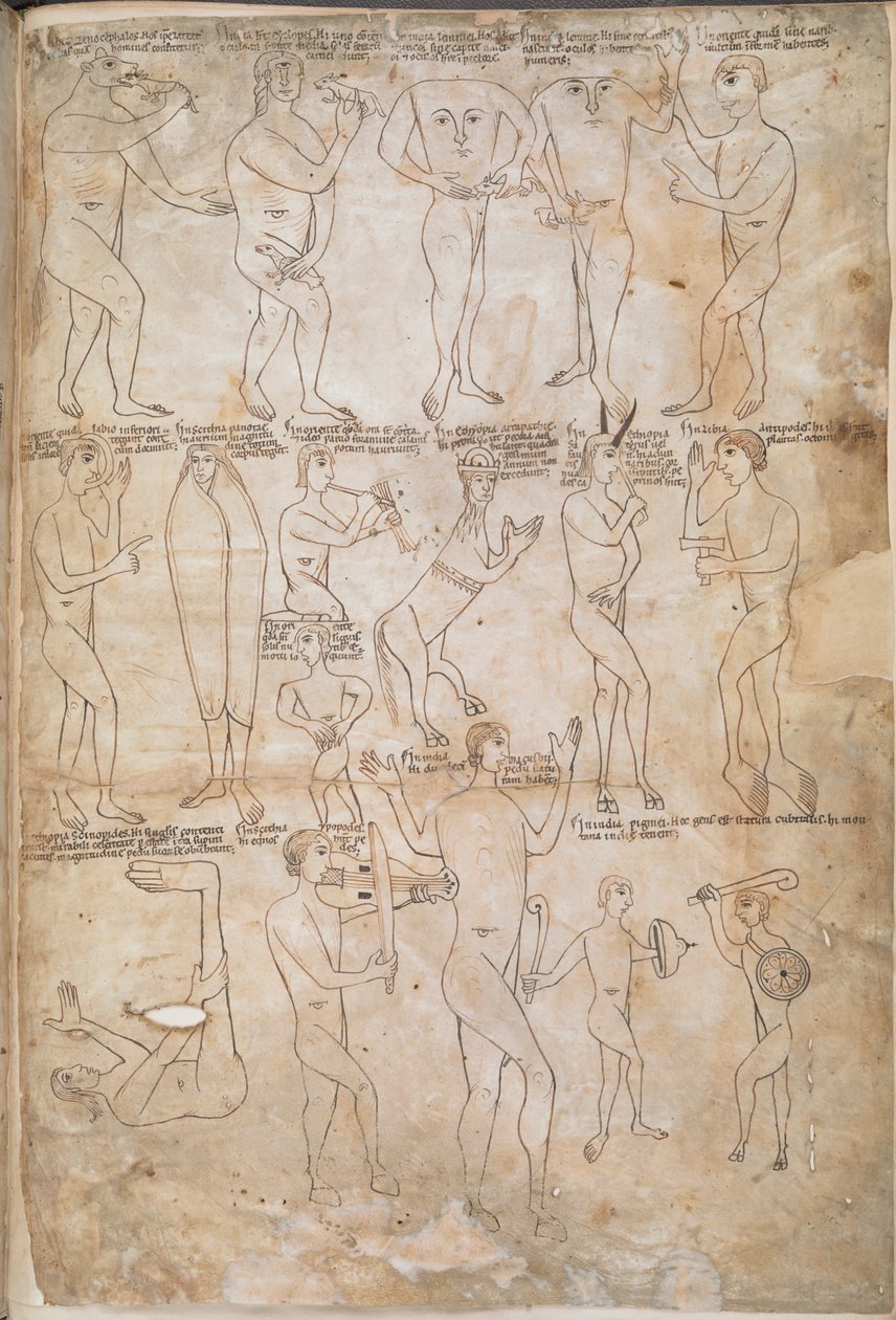 Tegninger af de sytten uhyrlige racer, inklusive giganter, pygmier, Blemmyae og Donestre, illustration fra 