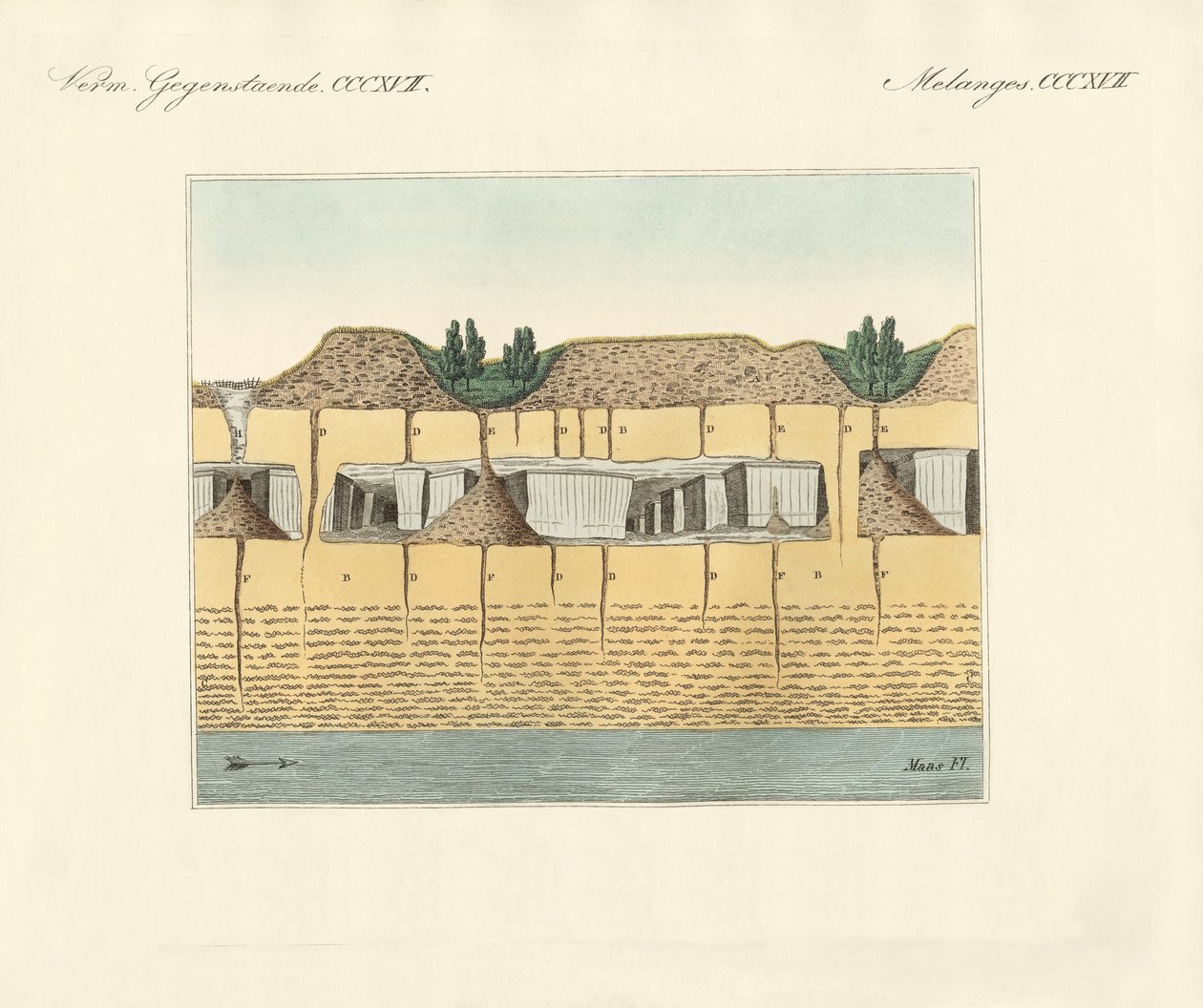 Jordrør (farvet gravering) af German School