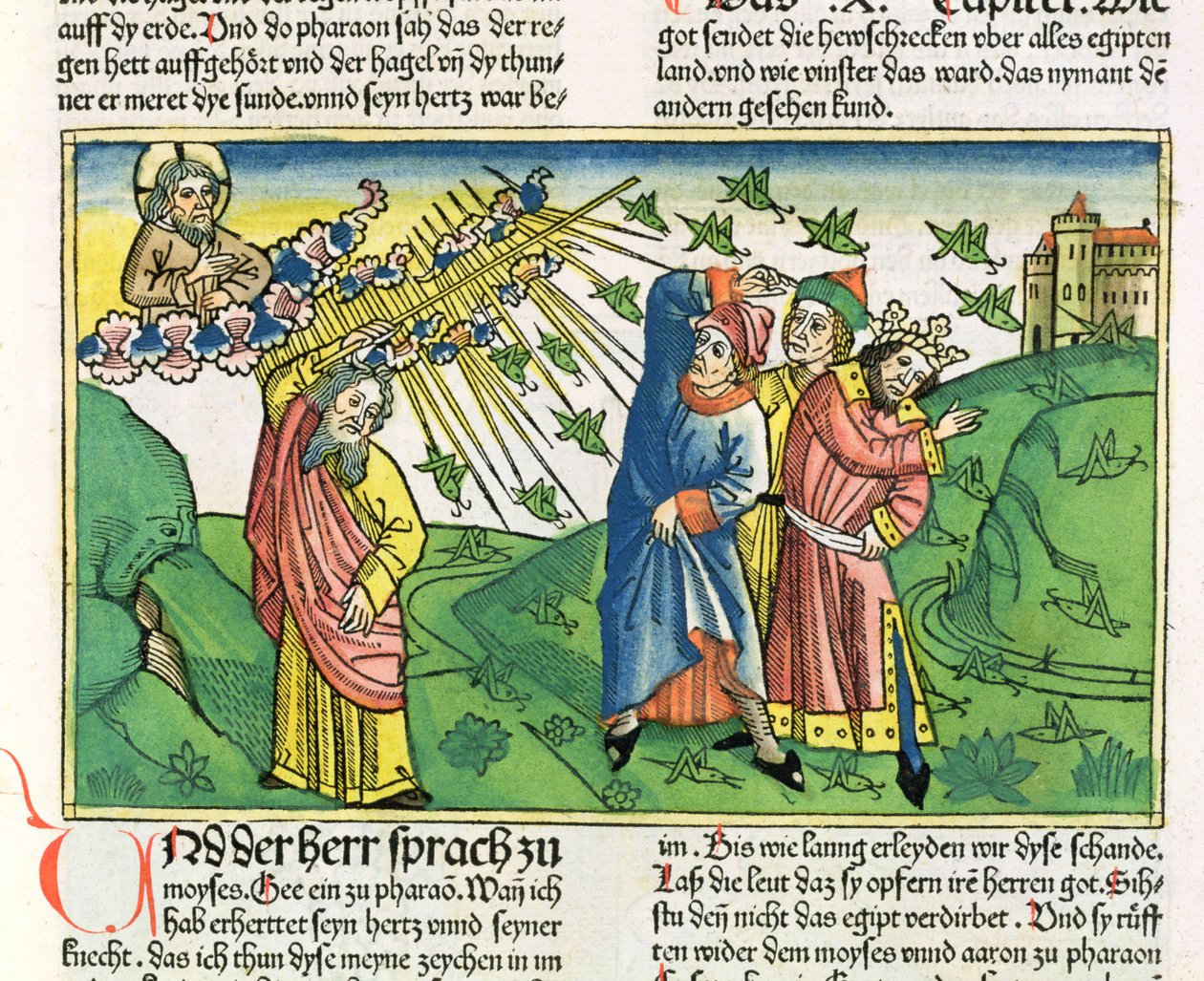 Anden Mosebog 10:1-20 Egyptens syv plager: græshoppernes plage, fra Nürnbergbibelen (Biblia Sacra Germanaica) (farvet træsnit) af German School