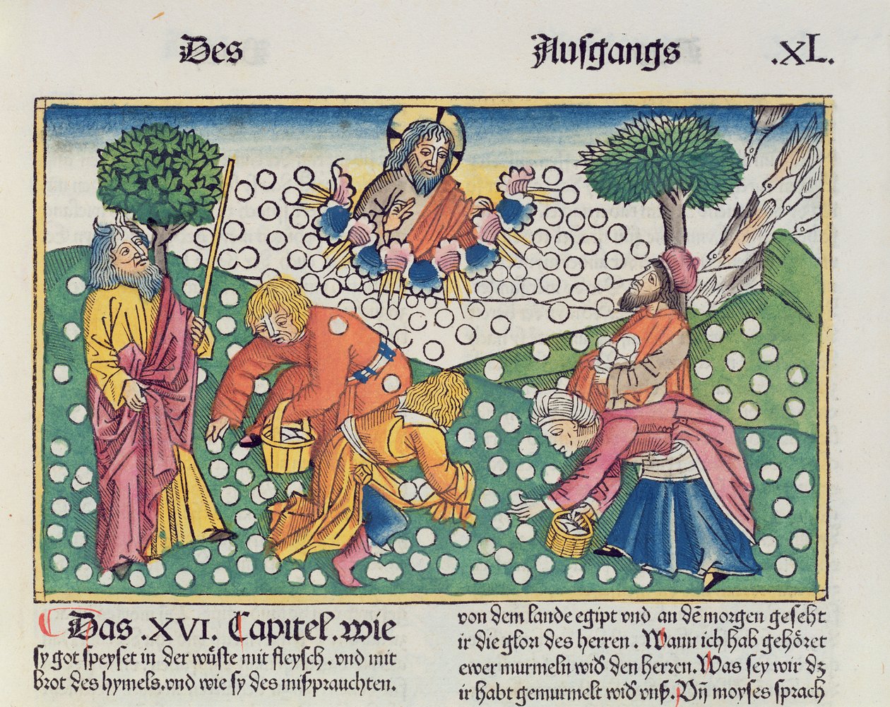 Anden Mosebog 16 13-22 Gud sørger for vagtler og manna til israelitterne, fra Nürnbergbibelen (Biblia Sacra Germanaica) (farvet træsnit) af German School