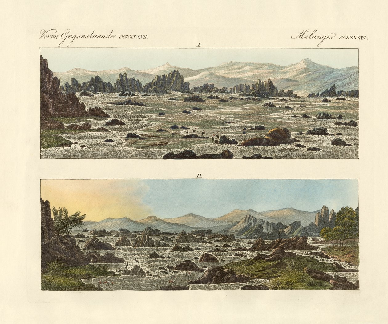 Falls of the Nile at Syene (farvet gravering) af German School